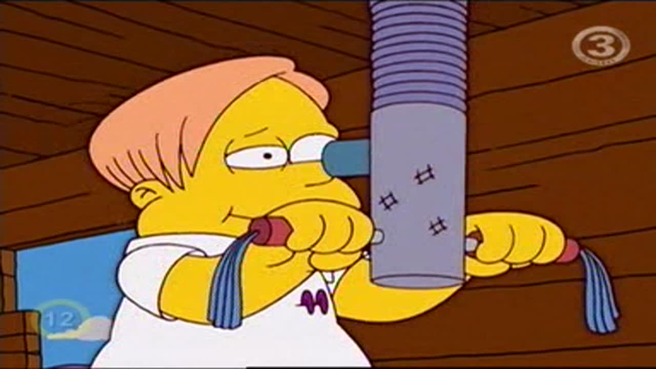 A Simpson Család 14. Évad 19. Epizód online sorozat