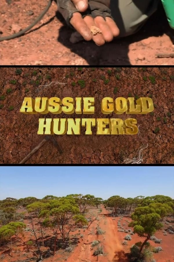 Ausztrál aranyásók