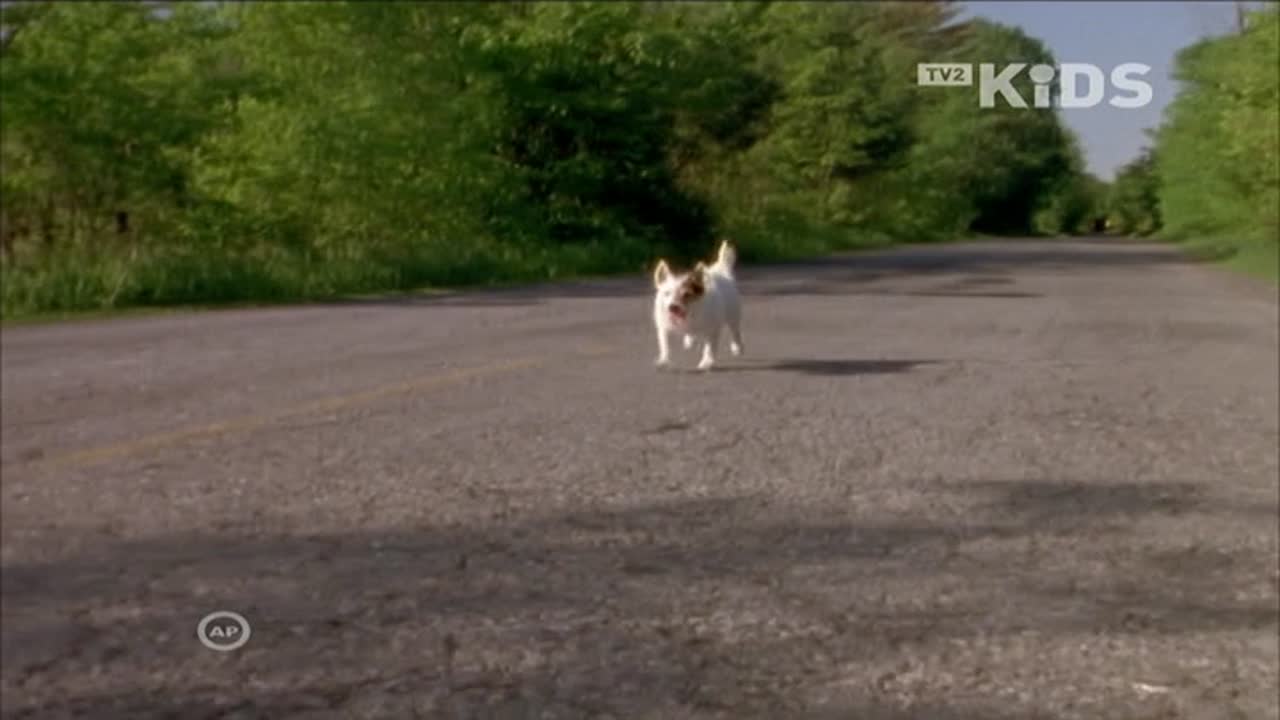 Lassie 1. Évad 25. Epizód online sorozat