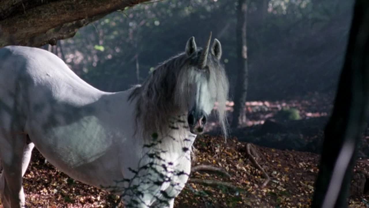 Merlin kalandjai 1. Évad 11. Epizód online sorozat