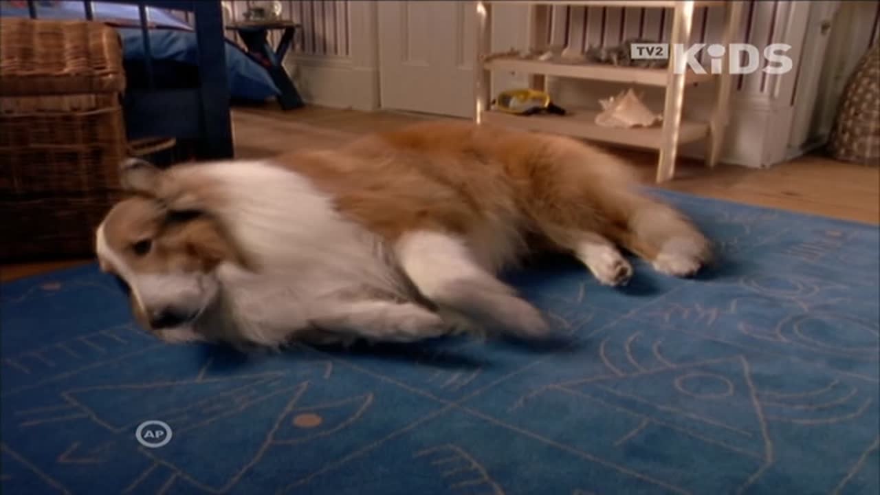Lassie 1. Évad 16. Epizód online sorozat