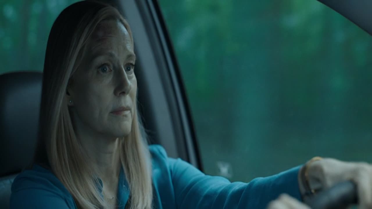 Ozark 4. Évad 13. Epizód online sorozat