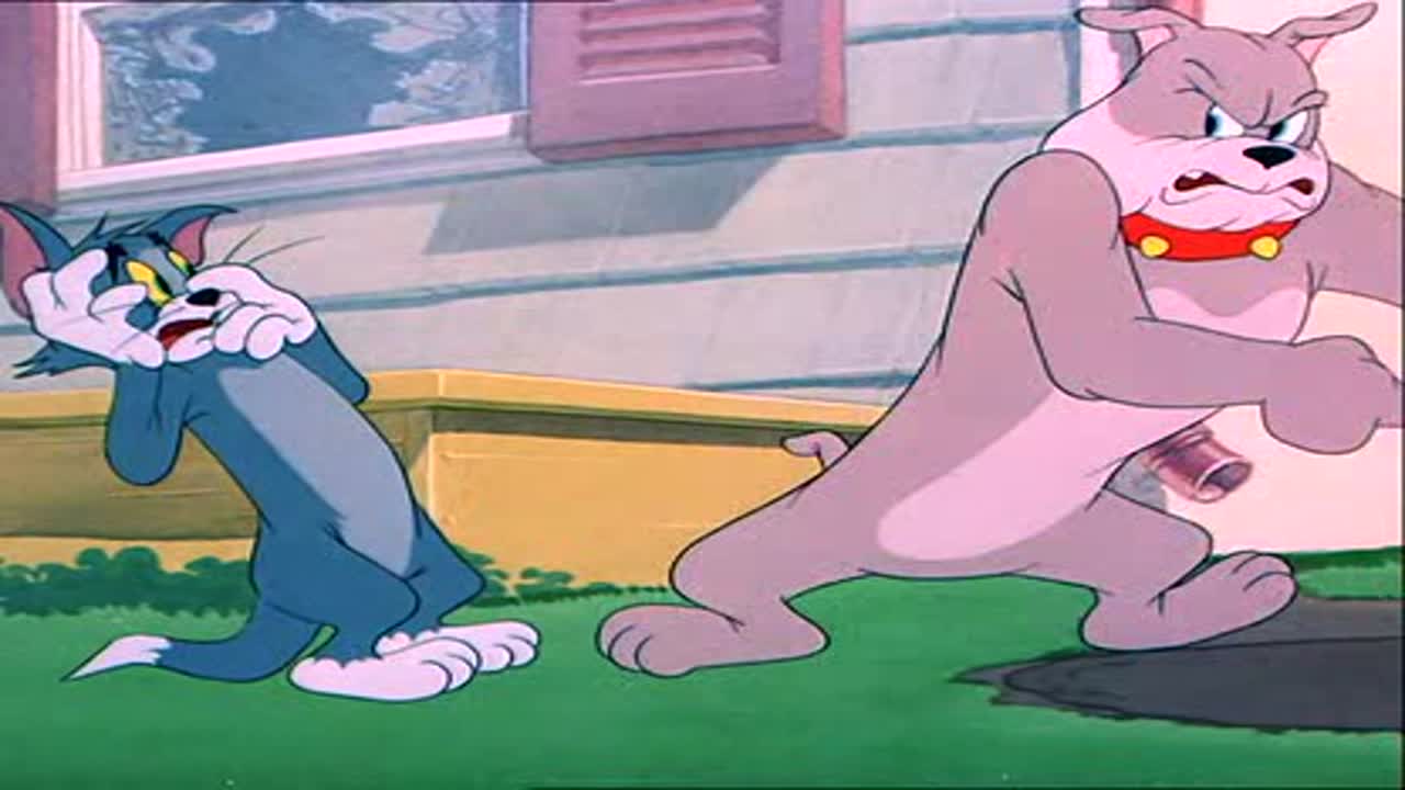 Tom és Jerry 5. Évad 9. Epizód online sorozat