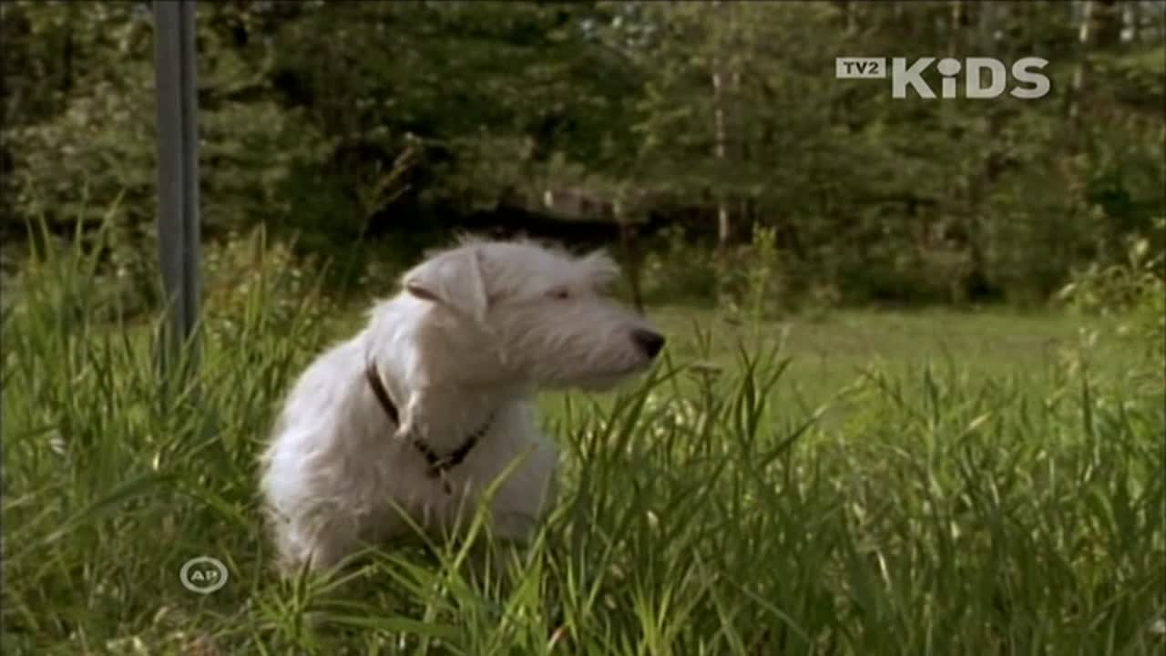 Lassie 3. Évad 4. Epizód online sorozat