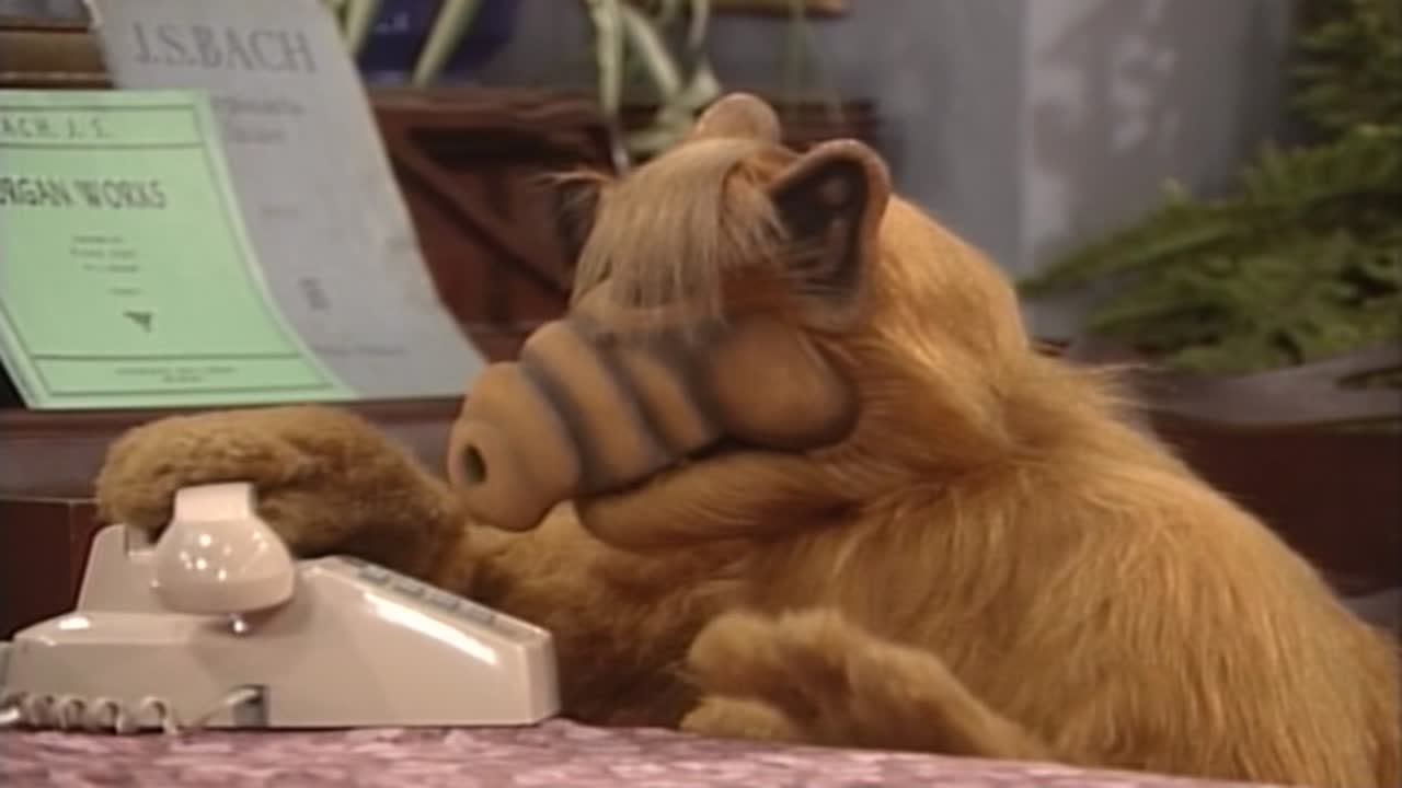 Alf 3. Évad 17. Epizód online sorozat
