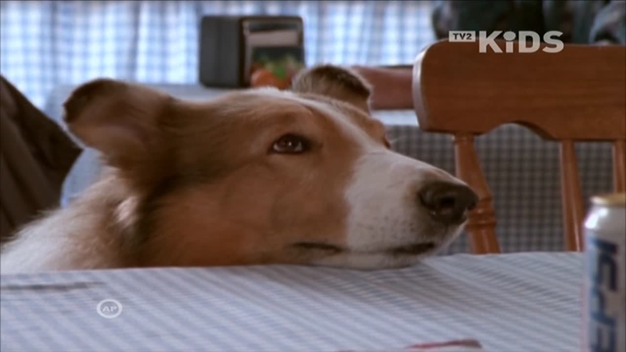 Lassie 1. Évad 12. Epizód online sorozat