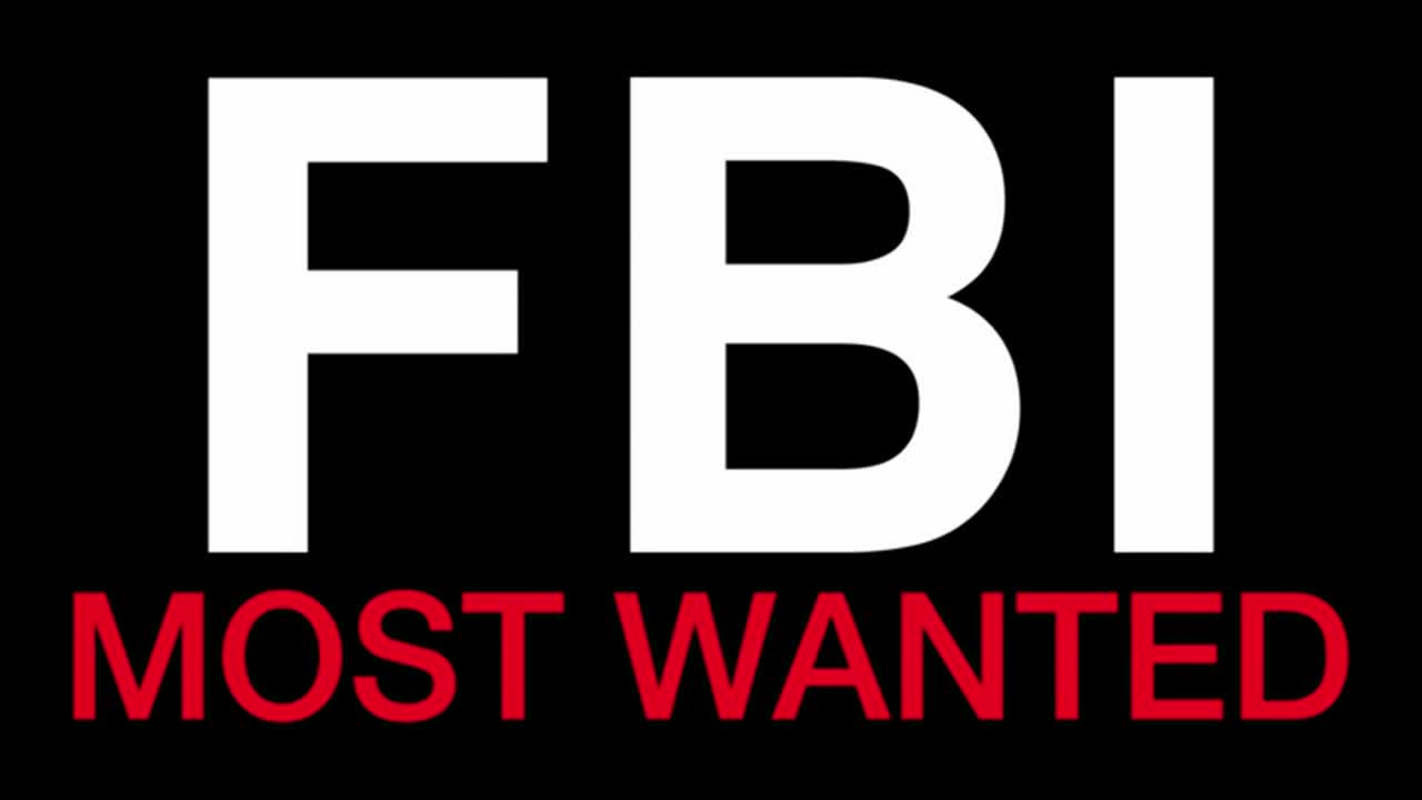 FBI: Most Wanted 2. Évad 14. Epizód online sorozat