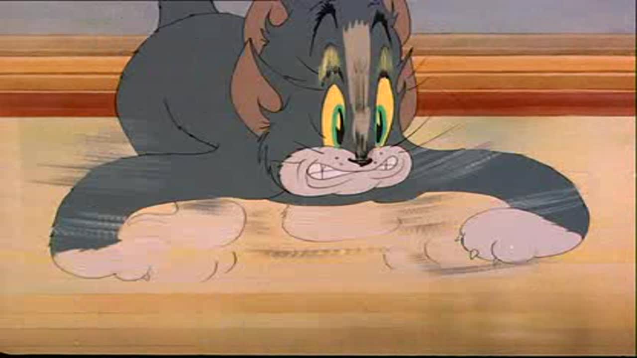 Tom és Jerry 1. Évad 9. Epizód online sorozat