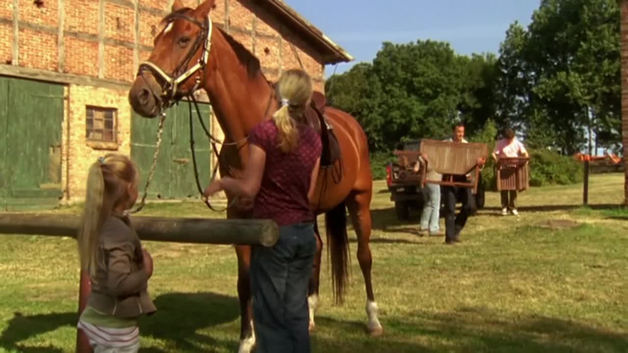 Robbie, a fóka 8. Évad 3. Epizód online sorozat