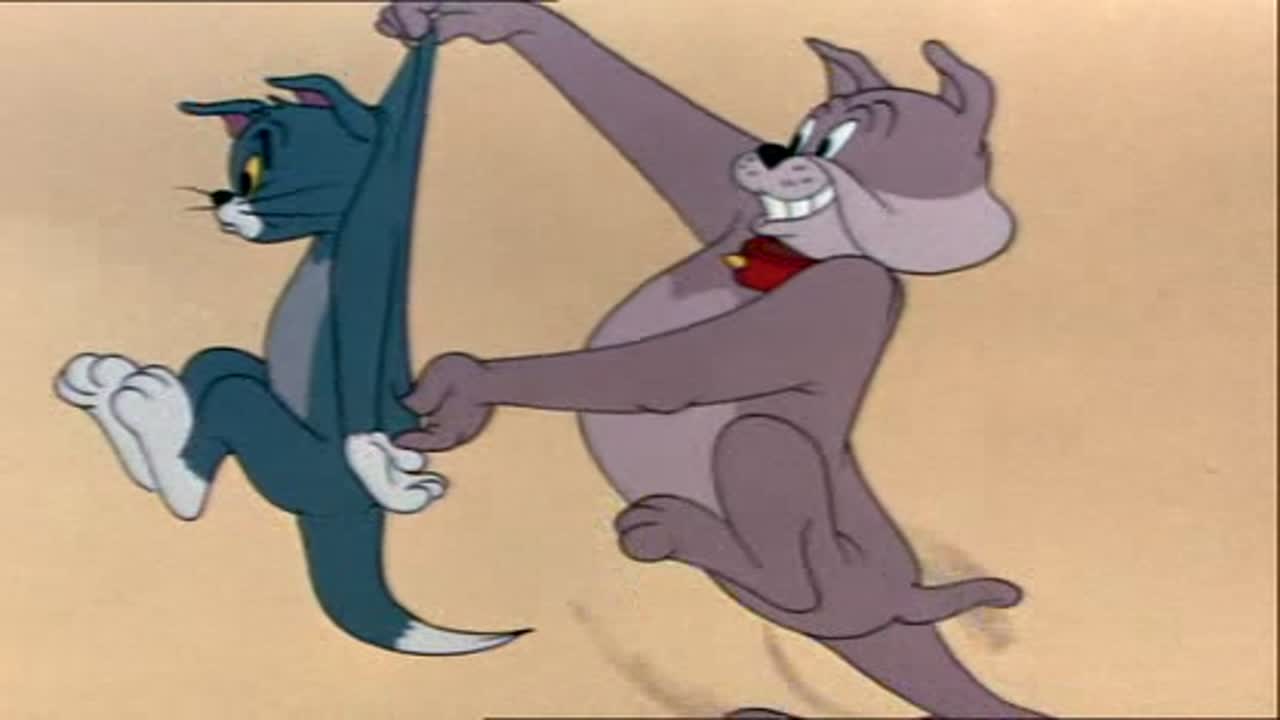 Tom és Jerry 7. Évad 11. Epizód online sorozat