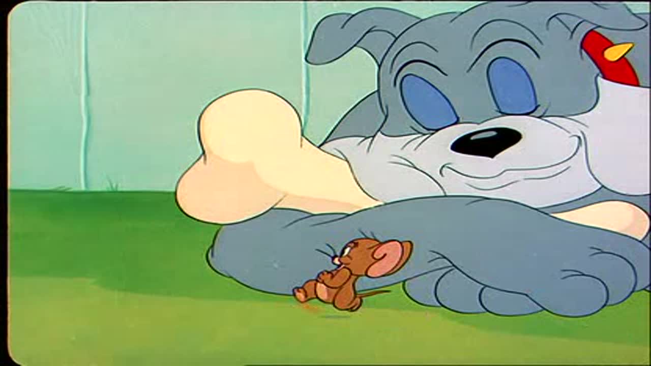 Tom és Jerry 5. Évad 2. Epizód online sorozat