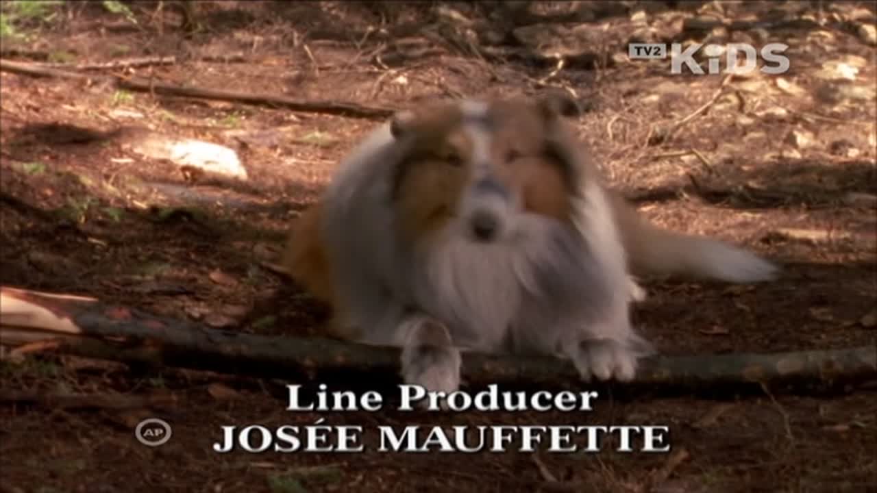 Lassie 1. Évad 23. Epizód online sorozat