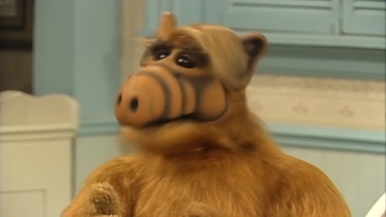 Alf 4. Évad 15. Epizód online sorozat