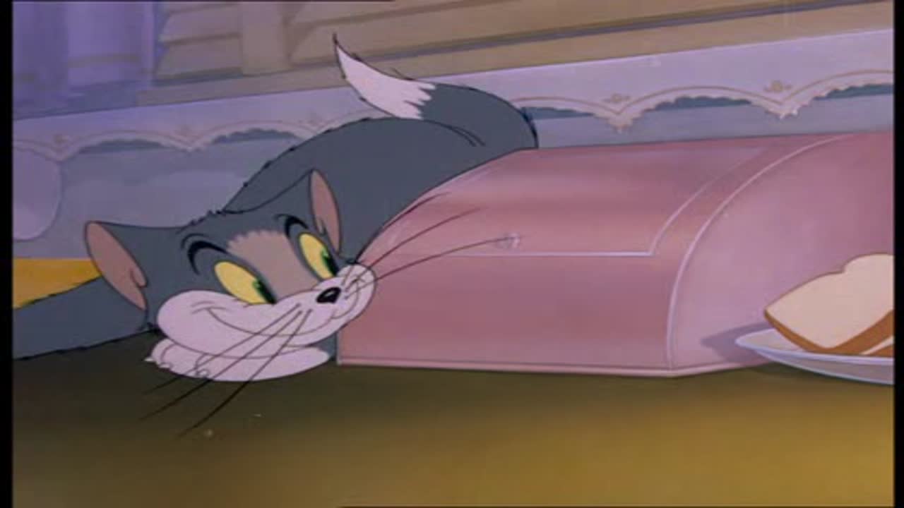 Tom és Jerry 1. Évad 2. Epizód online sorozat