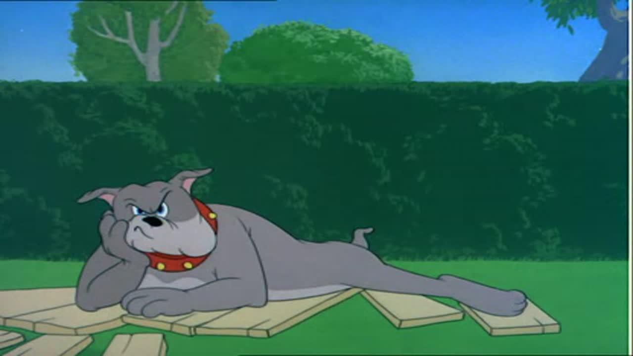 Tom és Jerry 6. Évad 8. Epizód online sorozat