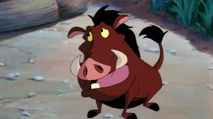 Timon és Pumba 5. Évad 29. Epizód online sorozat