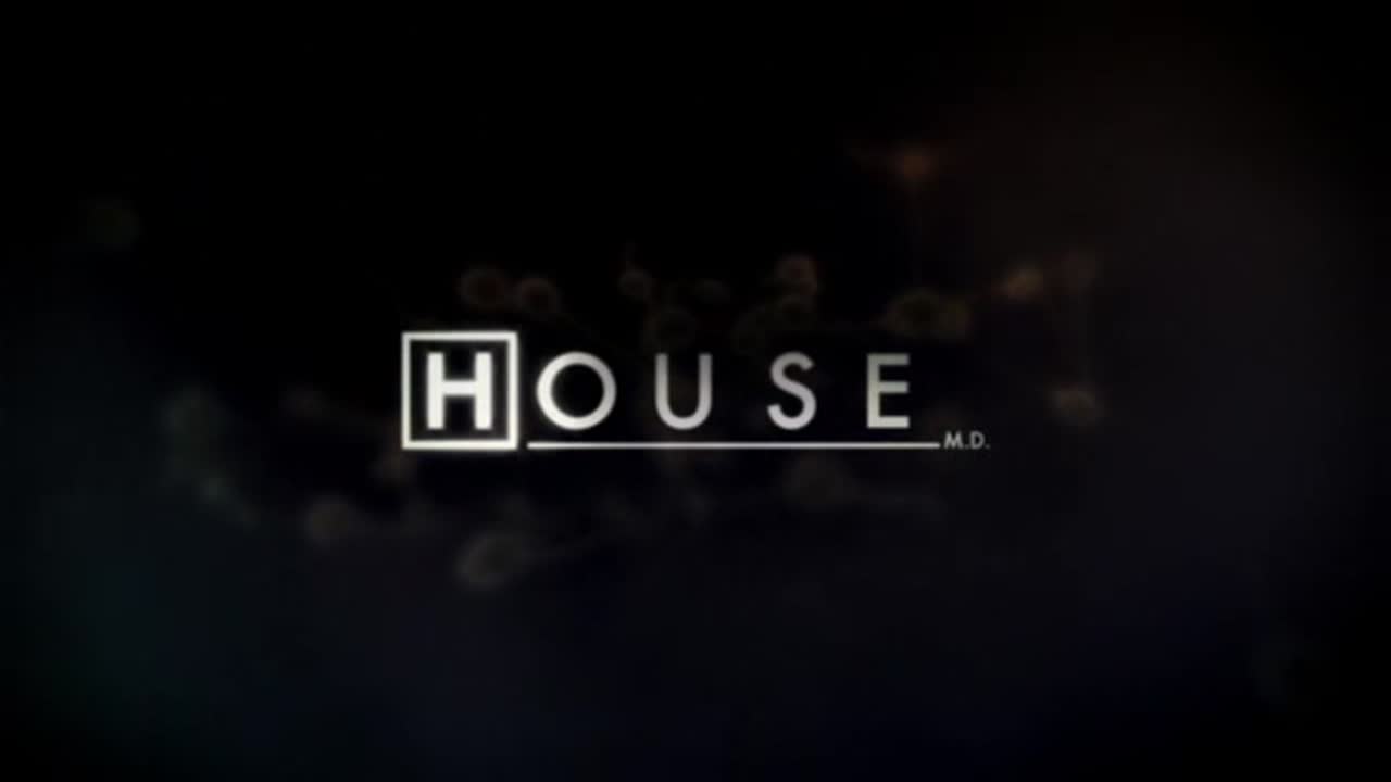 Dr House 3. Évad 17. Epizód online sorozat