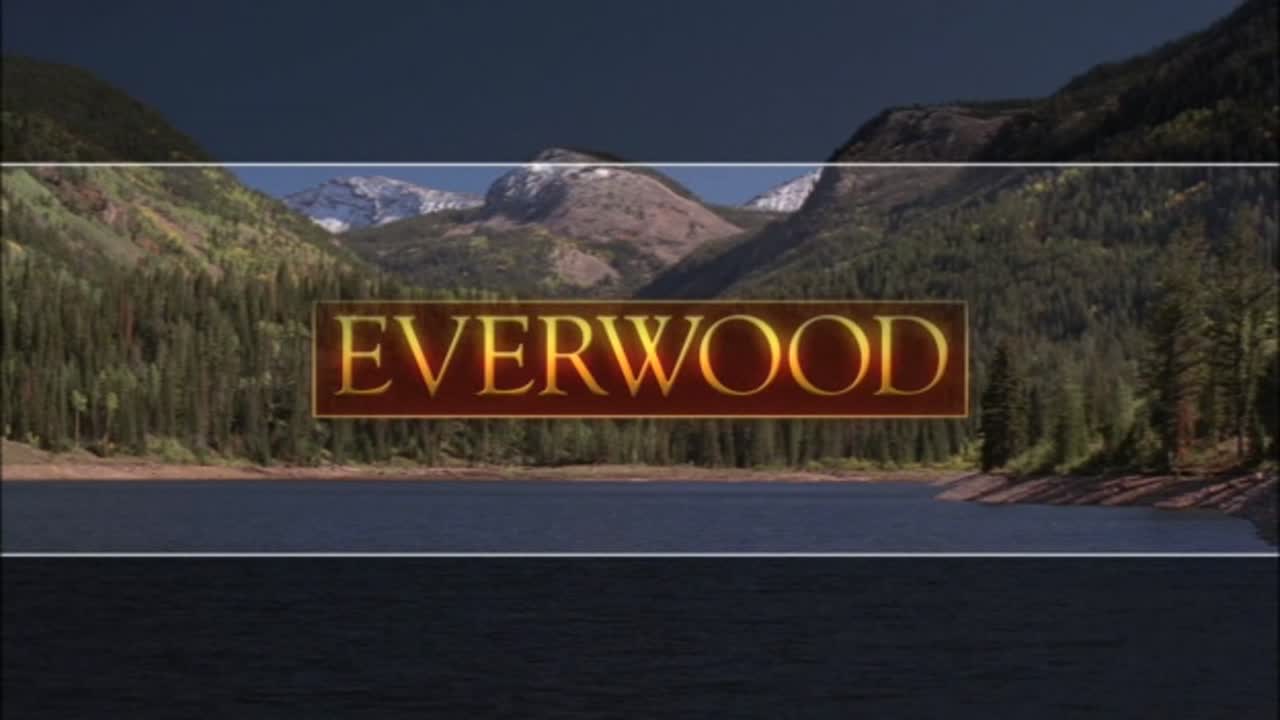 Everwood 3. Évad 4. Epizód online sorozat