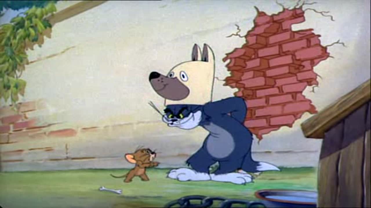 Tom és Jerry 2. Évad 3. Epizód online sorozat