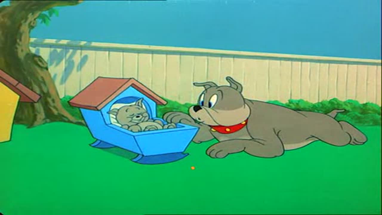 Tom és Jerry 7. Évad 5. Epizód online sorozat