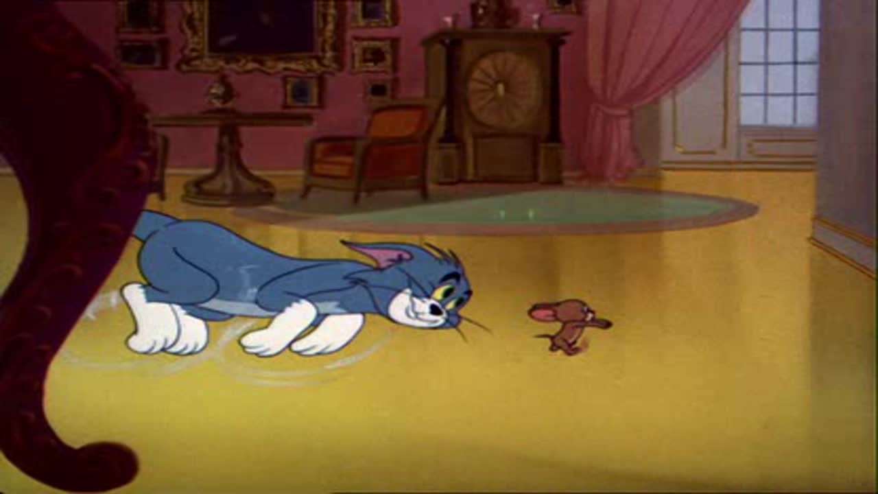 Tom és Jerry 6. Évad 11. Epizód online sorozat