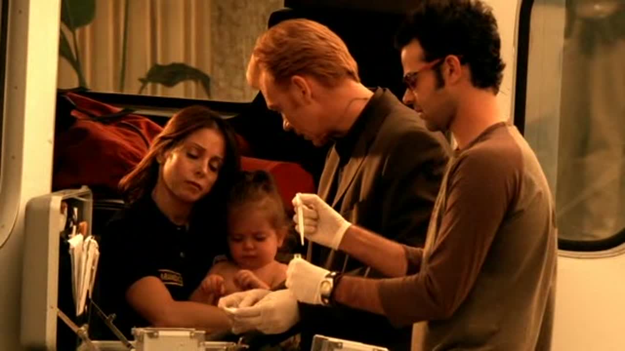 CSI Miami 1. Évad 8. Epizód online sorozat