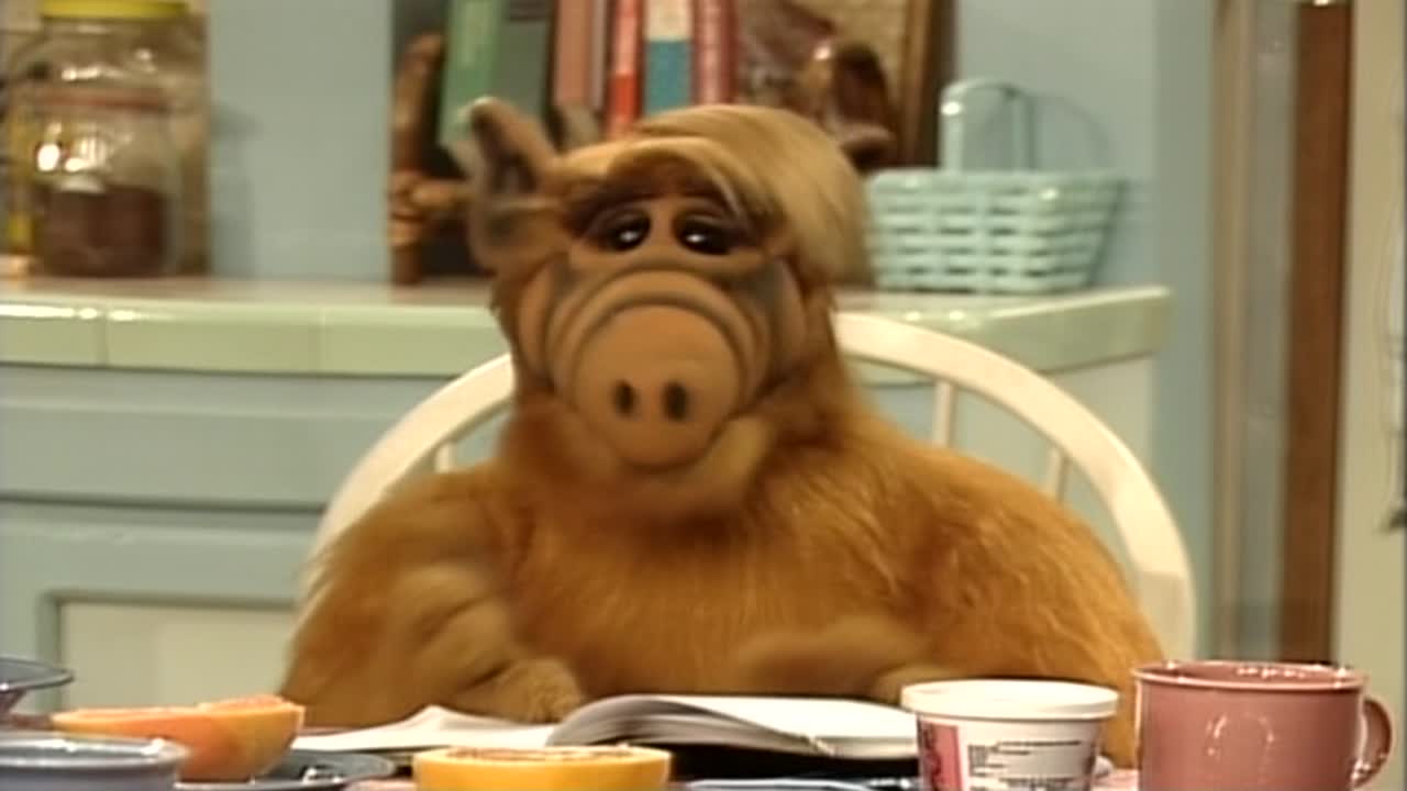 Alf 4. Évad 17. Epizód online sorozat