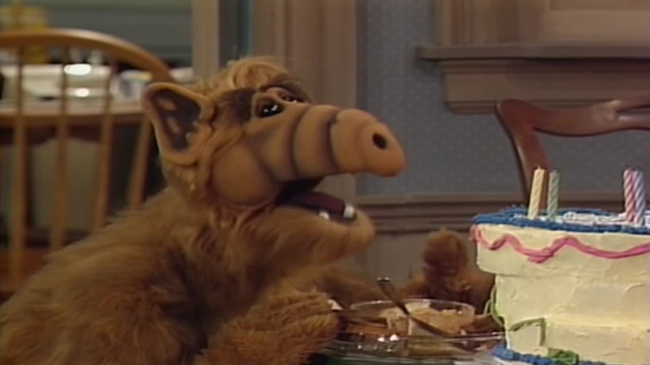 Alf 1. Évad 6. Epizód online sorozat