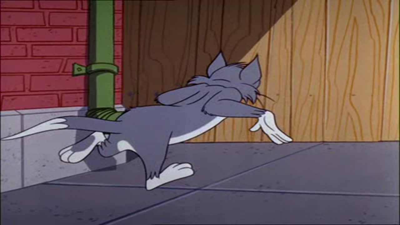 Tom és Jerry 11. Évad 8. Epizód online sorozat