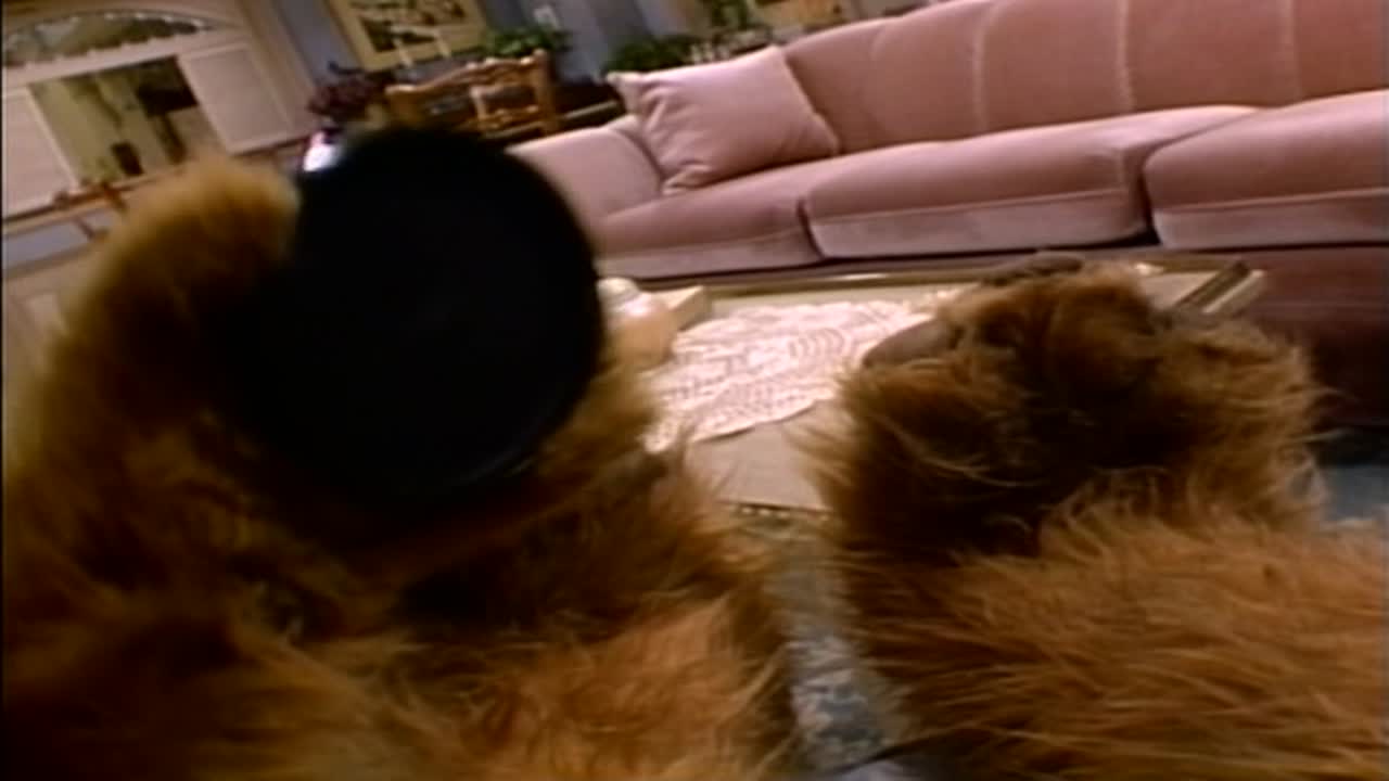 Alf 1. Évad 22. Epizód online sorozat