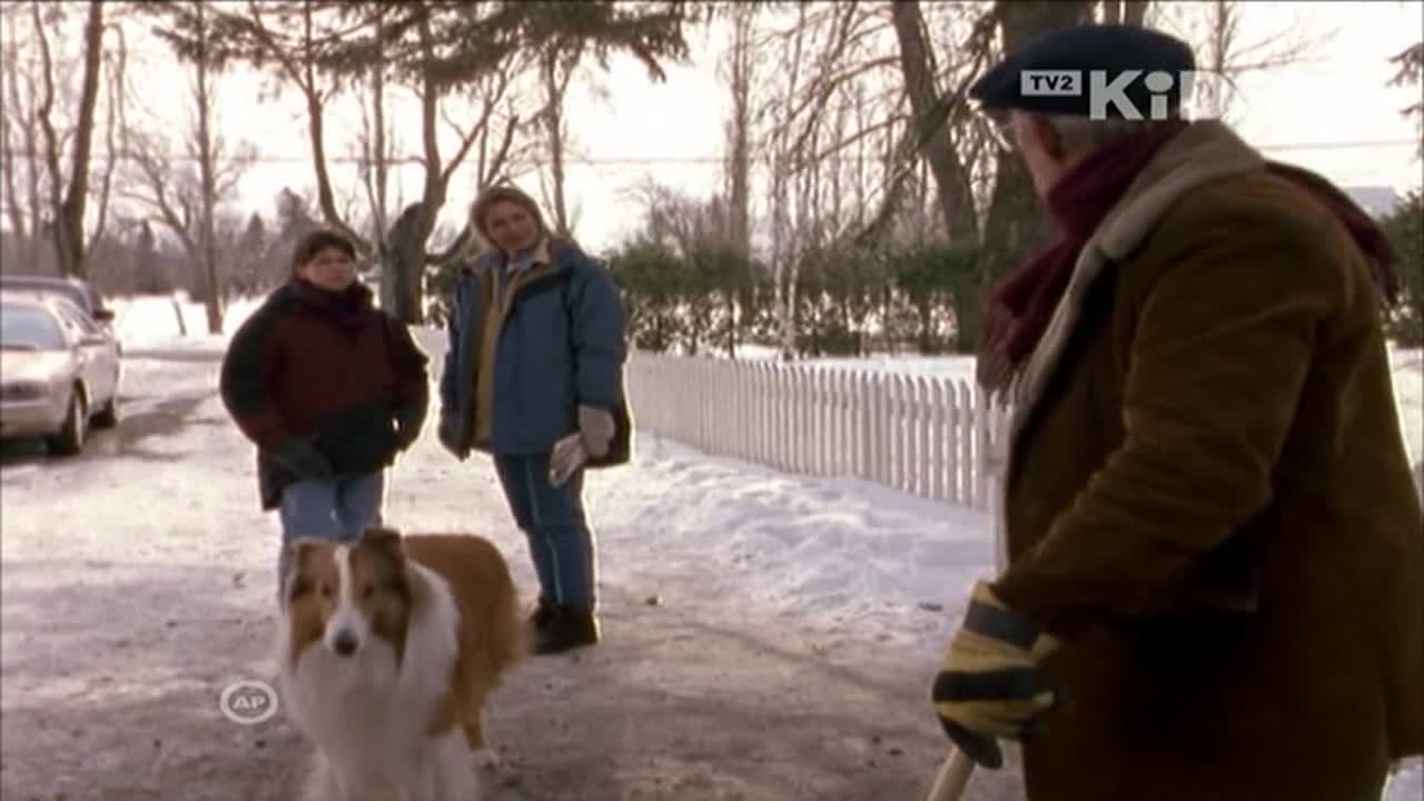 Lassie 1. Évad 17. Epizód online sorozat