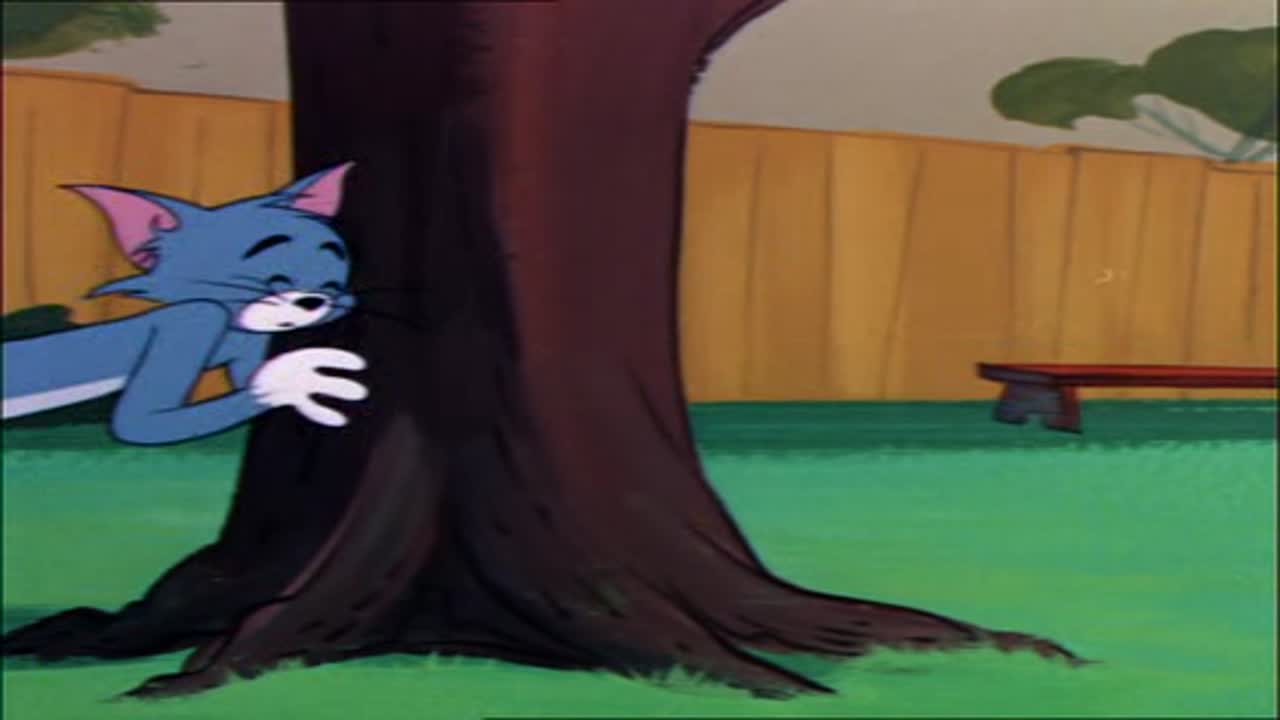 Tom és Jerry 9. Évad 10. Epizód online sorozat