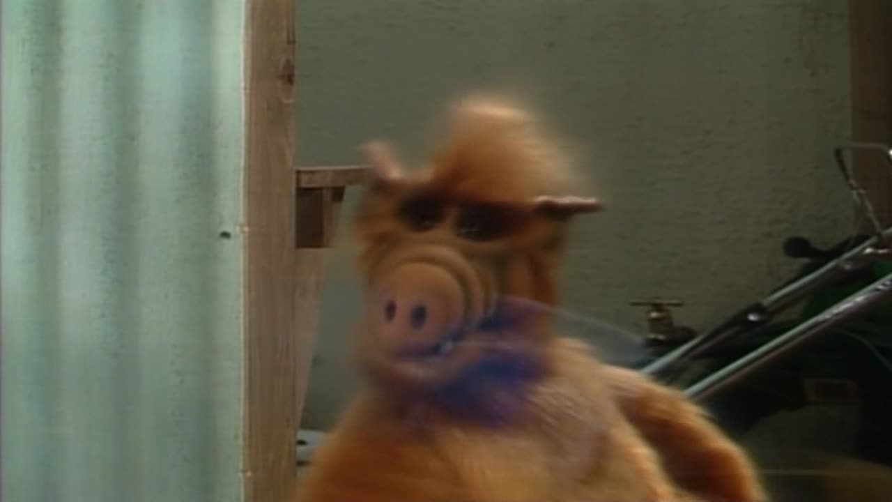Alf 4. Évad 6. Epizód online sorozat