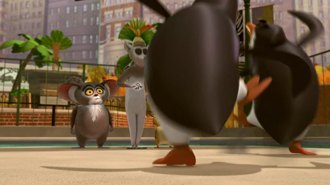 A Madagaszkár pingvinjei 2. Évad 35. Epizód online sorozat