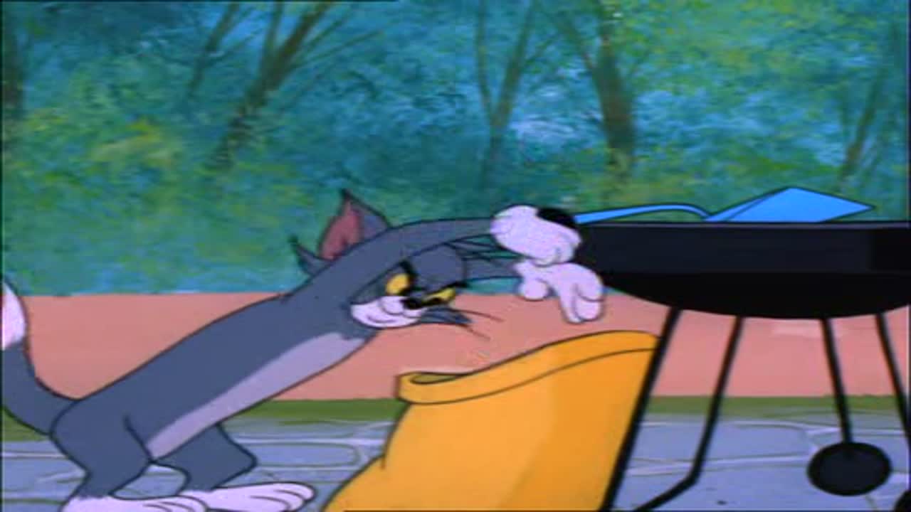 Tom és Jerry 8. Évad 13. Epizód online sorozat