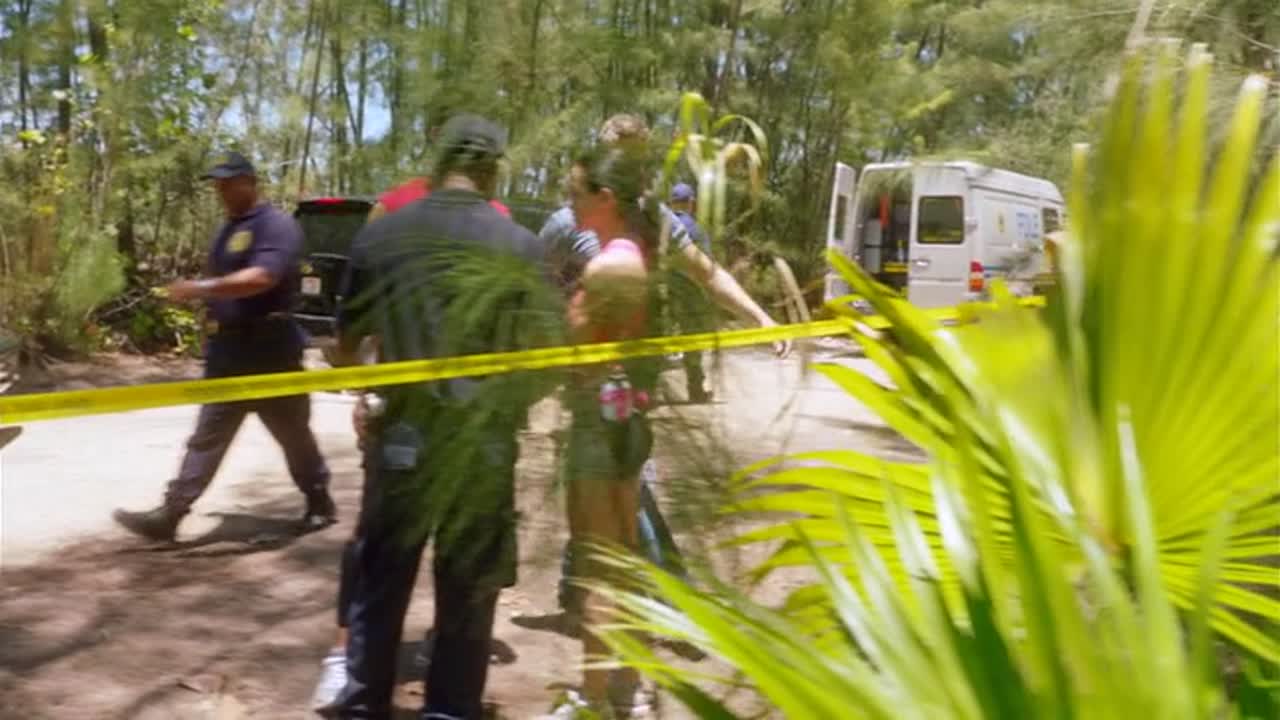 Glades - Tengerparti gyilkosságok 3. Évad 6. Epizód online sorozat