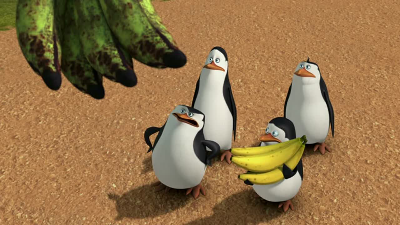 A Madagaszkár pingvinjei 3. Évad 23. Epizód online sorozat