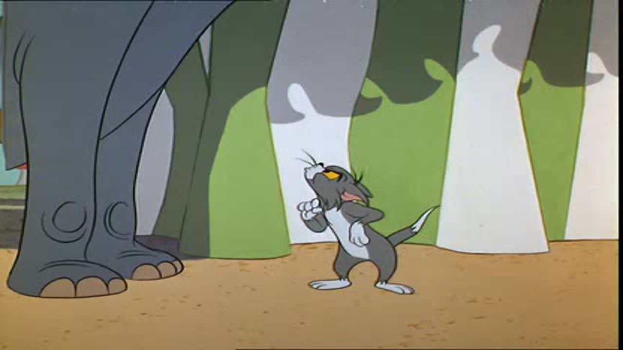 Tom és Jerry 12. Évad 1. Epizód online sorozat