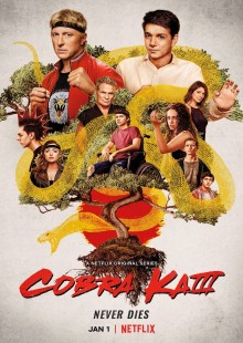 Cobra Kai online sorozat